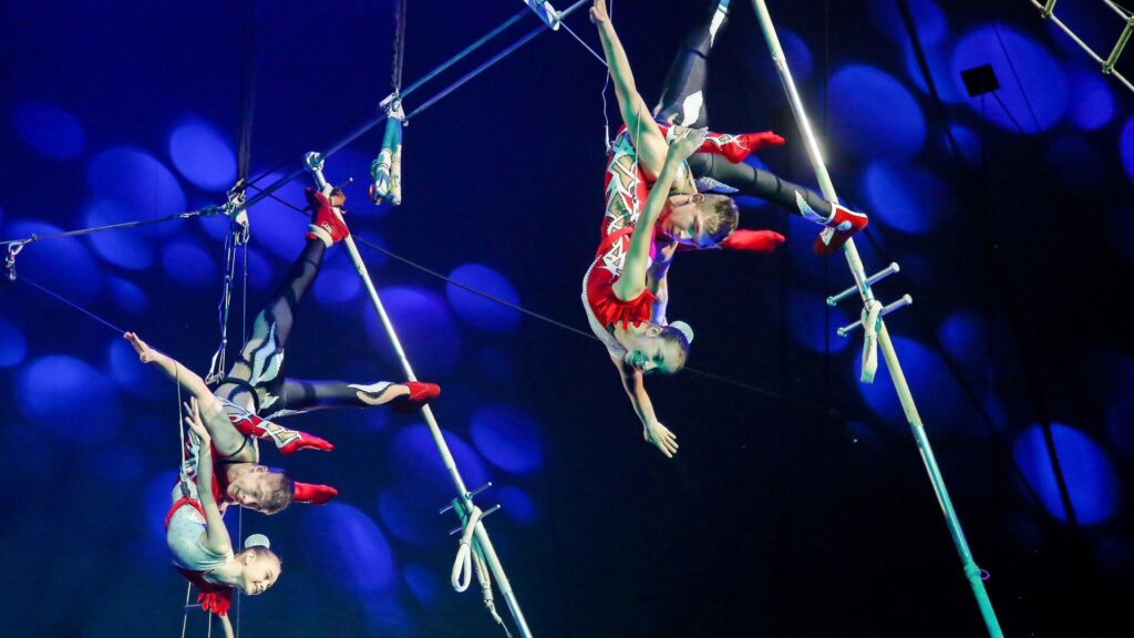 Фото 22 — Удивительные моменты в цирковом шоу