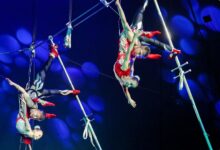 Photo of Удивительные моменты в цирковом шоу