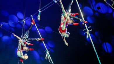 Photo of Удивительные моменты в цирковом шоу