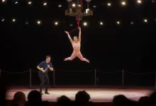 Photo of Лучшие цирковые представления года