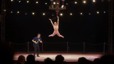 Photo of Лучшие цирковые представления года