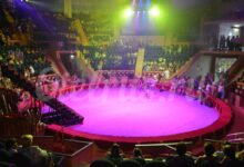 Photo of Цирковые семьи: история и традиции