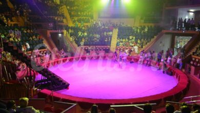 Photo of Цирковые семьи: история и традиции