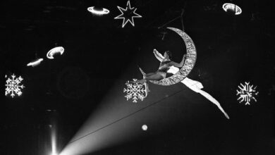 Photo of Блестящие выступления в цирковом куполе