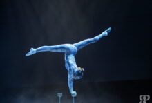 Photo of Загадочные цирковые номера