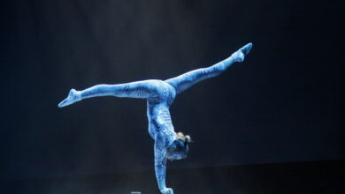 Photo of Загадочные цирковые номера