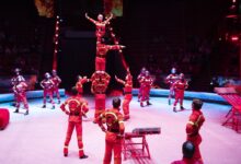 Photo of Лучшие артисты циркового жанра