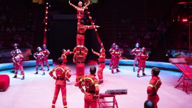 Photo of Лучшие артисты циркового жанра