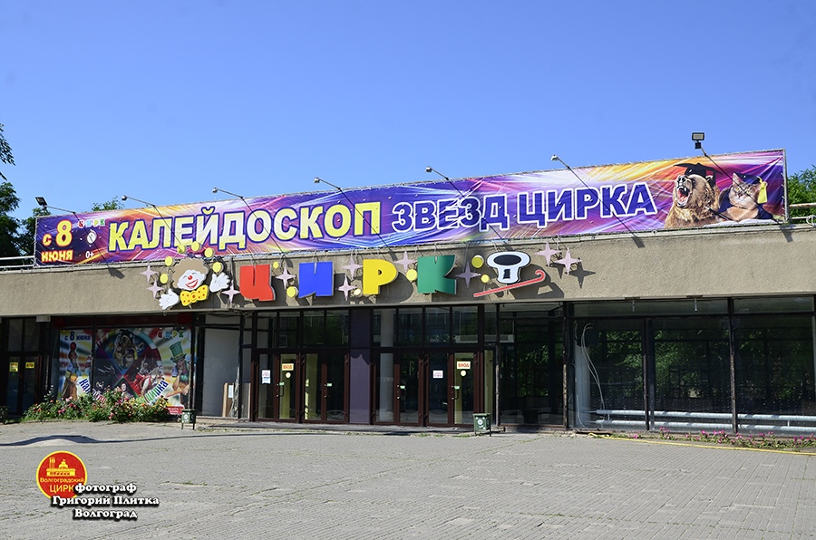 Фото 15 — Удивительные выступления цирка