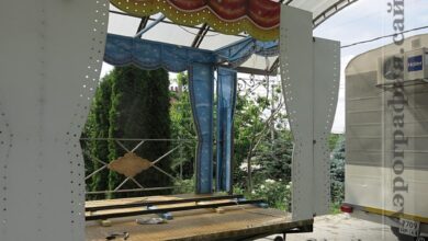 Photo of Зрелищные выступления цирковых звезд