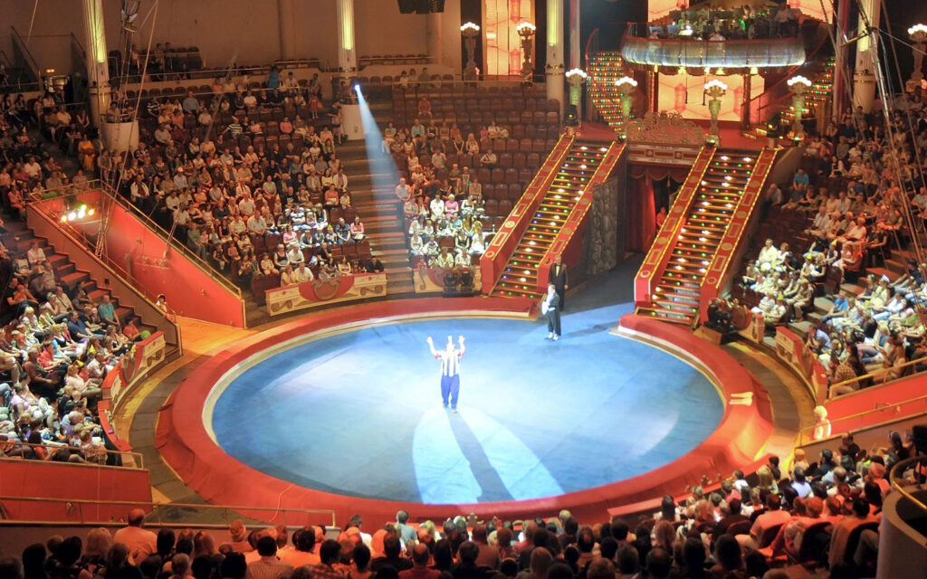 Фото 20 — Феерические представления цирка