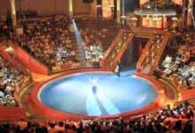 Photo of Феерические представления цирка