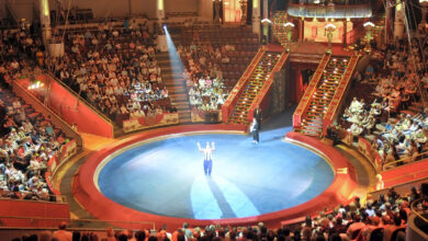 Photo of Феерические представления цирка