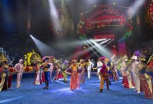 Photo of Новые номера и аттракционы цирка