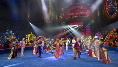 Photo of Новые номера и аттракционы цирка