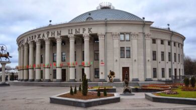 Photo of Незабываемые номера артистов цирка