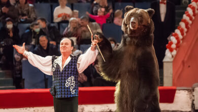 Photo of Сказочные представления в цирке