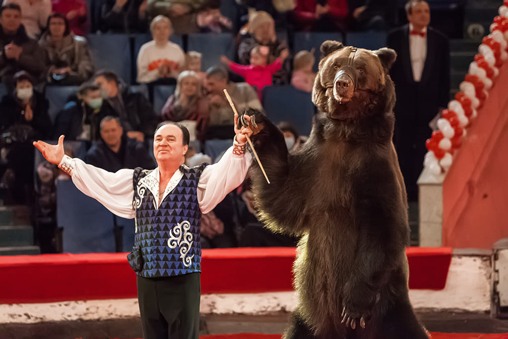 Фото 18 — Захватывающие представления в цирке