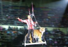 Photo of Цирковые артисты во всей красе