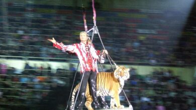 Photo of Цирковые артисты во всей красе