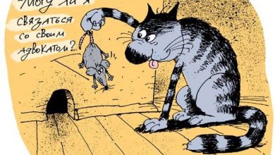 Photo of Юмор как способ защиты