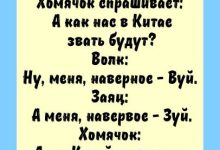 Photo of Смешные анекдоты про животных