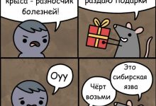 Photo of Лучшие анекдоты за 300