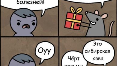 Photo of Лучшие анекдоты за 300