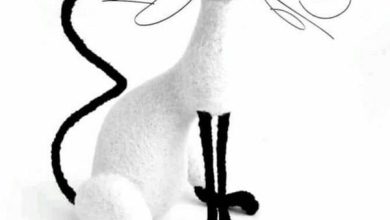 Photo of Не перестанешь удивляться шуткам